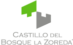 Castillo de la Zoreda