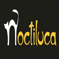 Noctiluca Disco Bar