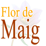 Flor de Maig
