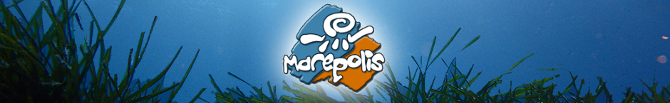 Marepolis