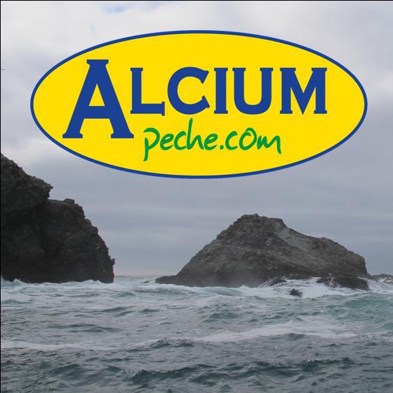 Alciumpeche.com