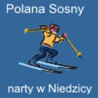 Polana Sosny