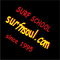 surfnsoul.com
